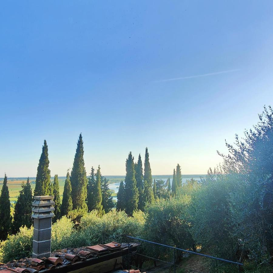 Massaciuccoli Romana 外观 照片