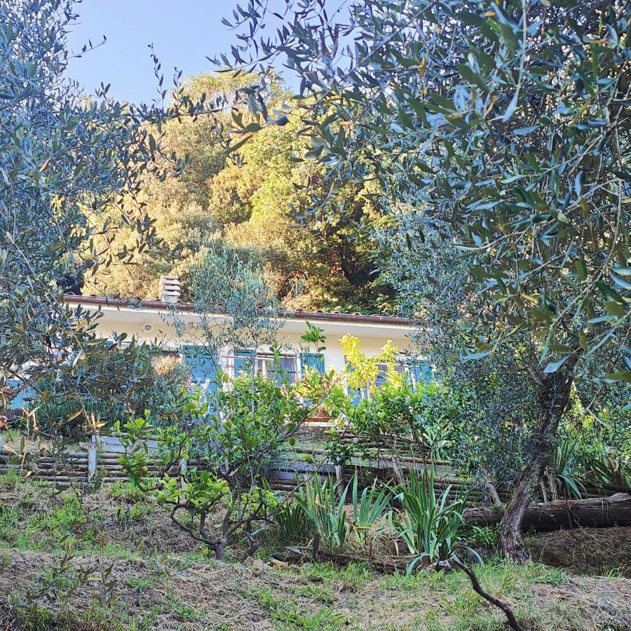Massaciuccoli Romana 外观 照片