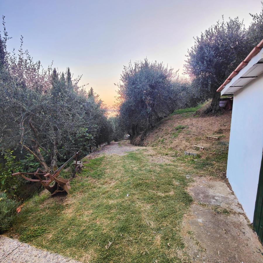 Massaciuccoli Romana 外观 照片