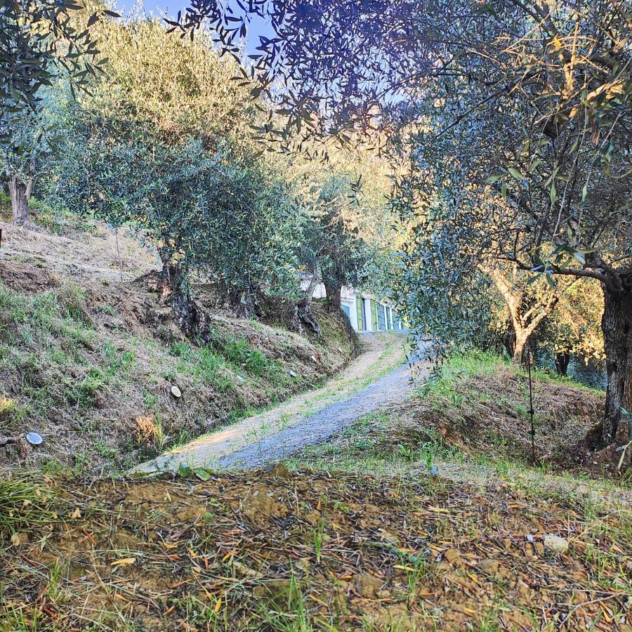 Massaciuccoli Romana 外观 照片