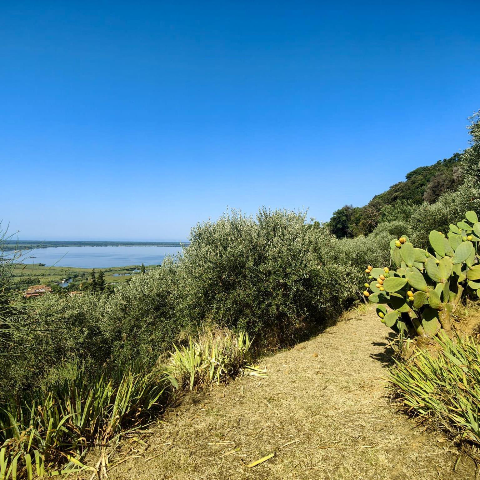 Massaciuccoli Romana 外观 照片