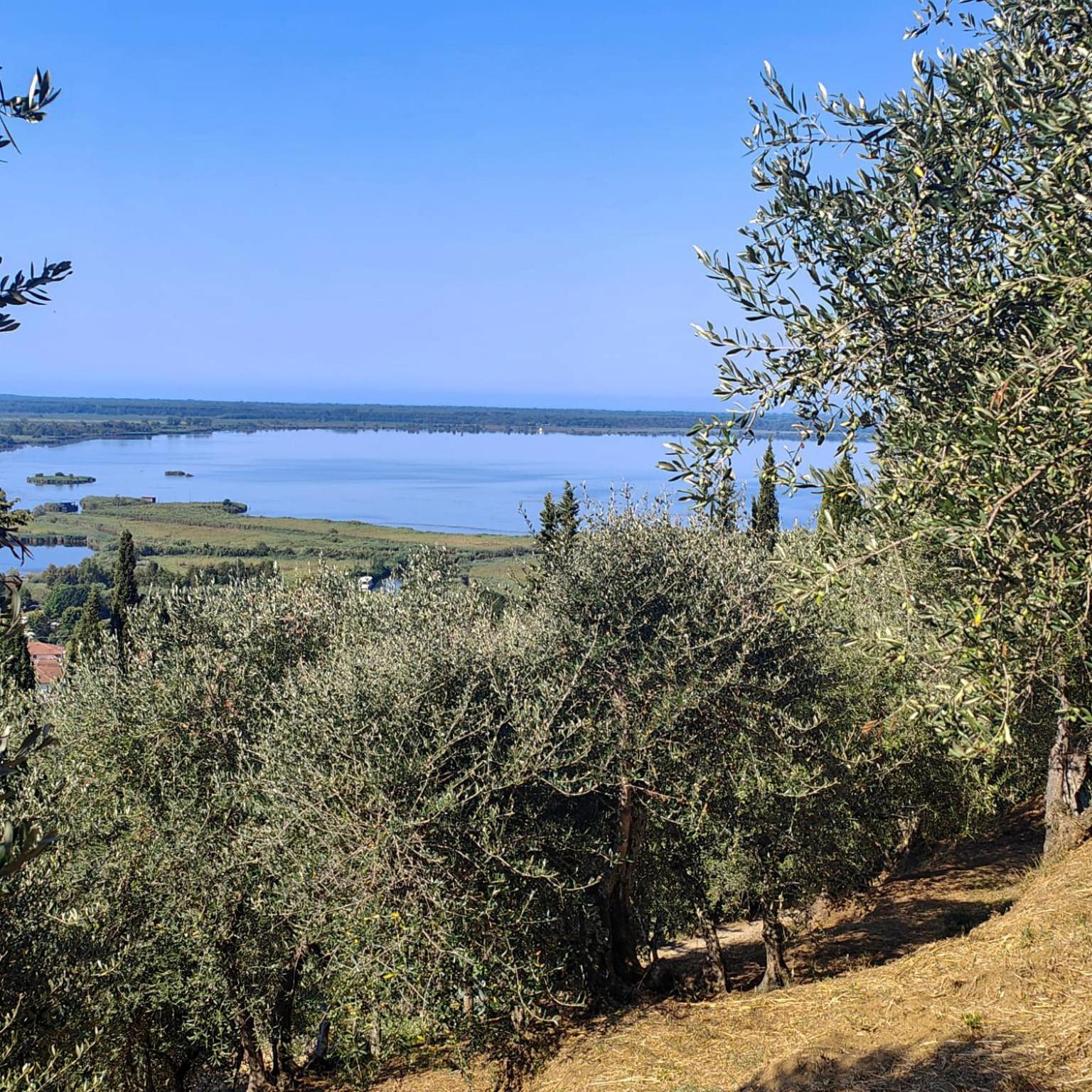 Massaciuccoli Romana 外观 照片