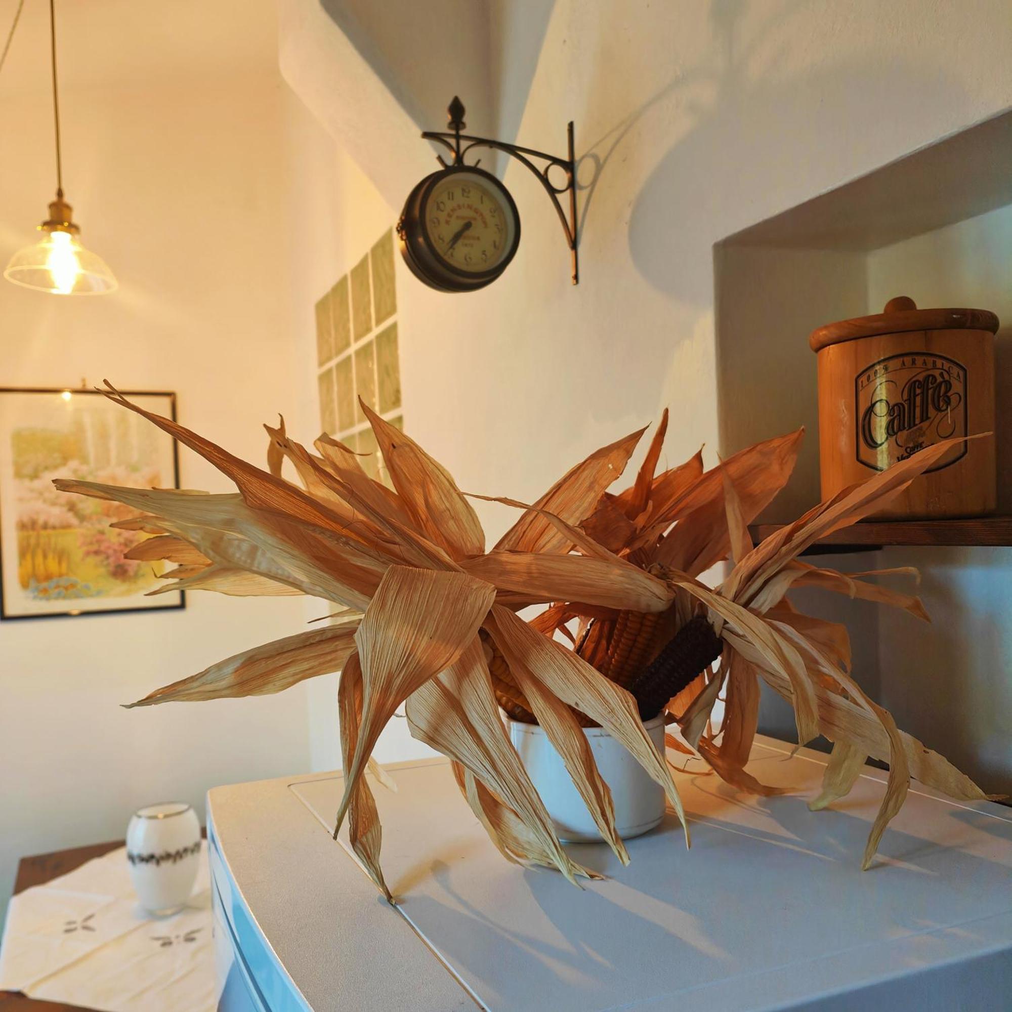 Massaciuccoli Romana 外观 照片